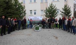 Kars'ta sebze üretimine destek: Binlerce fide üreticiyle buluştu