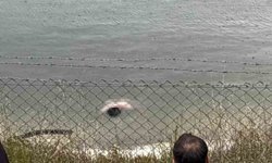 Kayıp zihinsel engelli şahıs gölette ölü bulundu