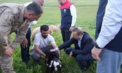 Kaymakam Baycar, göçer üreticilerin sorunlarını yerinde dinledi