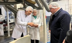 Kaynaşlı'da gıda üretim tesislerine inceleme
