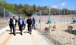 Kocaeli'de 650 köpek kapasiteli yeni barınak hizmete alındı