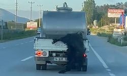 Kurbanlığı araçtan sarkıtıp kilometrelerce sürükledi