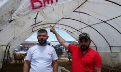 Kurbanlıklar alıcı buldu, yetiştirici bayrama mutlu girdi: 'Dedikleri fiyata verdik, milleti kurbansız göndermedik'