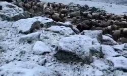Mayıs sonunda Kars'a kış geri döndü, eksi 5 derecede kar sürprizi