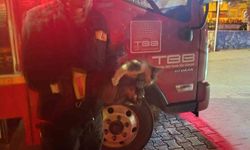 Motor kısmına sıkışan kedi için seferber oldular