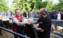 Muğla'da Kurban pazarlarında sıkı denetim