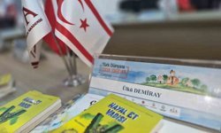 Niğde'de görev yapan öğretmen Ülkü Demiray, Türk Dünyası Çocuk Edebiyatı Çalıştayı'nda Türkiye'yi temsil etti