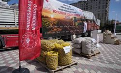 Niğde'de yerli ve milli tohum hamlesi: 60 ton patates tohumu üreticilere dağıtıldı