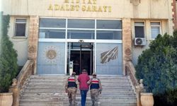 Ölümlü kazaya karışıp kaçan şoför jandarma ekipleri tarafından yakalandı