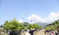 Osmaniye'de uçurtma şenliği festivale dönüştü