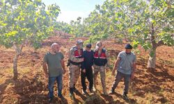 Şanlıurfa'da kaybolan çocuk fıstık bahçesinde bulundu