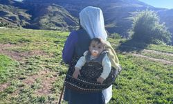 Şavakların yayla mücadelesi: Tulum peynirinin arkasındaki emek
