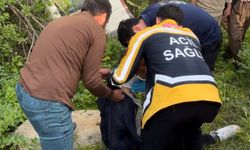 Şemdinli'de minibüs yoldan çıktı: 3 yaralı