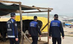 Sincan'da kurban pazarlarında denetim aralıksız sürüyor