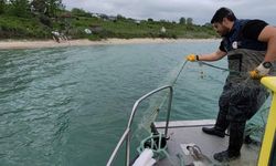 Sinop'ta kaçak avcılığa geçit yok