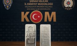 Şırnak'ta 4,3 milyonluk kaçakçılık engellendi: 2 şüpheli tutuklandı, 46 şüpheliye işlem yapıldı
