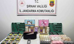 Şırnak'ta jandarmadan asayiş, kaçakçılık ve narkotik operasyonu