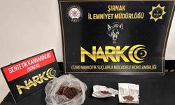 Şırnak'ta kaçakçılık ve uyuşturucu operasyonları: 5 tutuklama