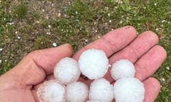 Sivas'ta fındık büyüklüğünde dolu yağdı, ağaçlar çiçek döktü