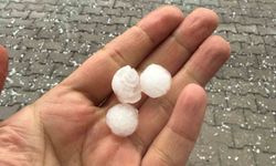 Tatvan'da dolu yağışı etkili oldu