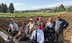 Tavas ve Beyağaç Belediye Başkanları birlikte tütün dikti