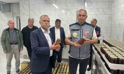 Türkiye Arı Yetiştiricileri Merkez Birliği Genel Başkanı Demir: 'Ani hava değişimleri arılarımızda ciddi hastalıklara neden oluyor'