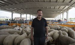 TÜRKYED Genel Başkanı Çelik: 'Vatandaşlarımız vekalet verdiği kurumun kurban kesimini İslami usullere uygun gerçekleştirdiğinden emin olmalıdır'