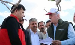 TZOB Başkanı Bayraktar: 'TARSİM dışında kalan üreticilerimizin devlet desteğine ihtiyacı var'