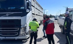 Uşak'ta hayvan sağlığı ve halk sağlığı için denetimler sürüyor