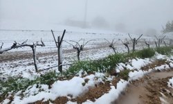 Yüksek kesimlerde ani hava değişimi üreticiyi zorladı