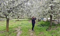 Zirai don uyarısı yapılan bölgelerde hasar tespit çalışması yapıldı