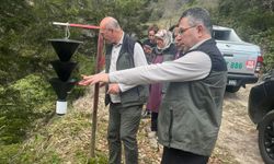 Orman Bölge Müdürü AhmetDemirci Rize’de İncelemelerde