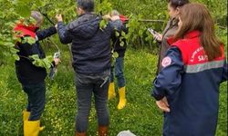 Karadeniz'de Kahverengi Kokarca ile Mücadelede Çalışması Başladı