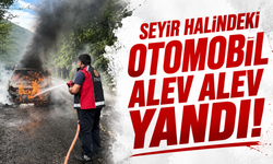 Artvin'de seyir halindeki otomobil alev alev yandı