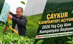 ÇAYKUR 2026 Yaş Çay Kampanyasını Açıyor