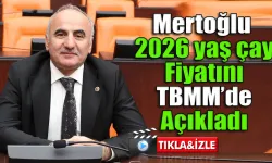 2026 Yılı yaş çay alım fiyatı açıklandı