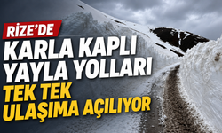 Rize'de karla kaplı yayla yolları tek tek ulaşıma açılıyor