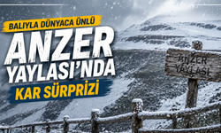 Balıyla dünyaca ünlü Anzer Yaylası'nda kar sürprizi