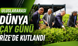 Uluslararası Dünya Çay Günü Rize'de de elle çay toplama etkinliği ile kutlandı