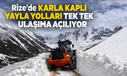 Yayla mevsimi öncesi karlı yollar açılıyor