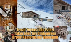 Evleri talan etti dinlenirken drone kamerasına yakalandı