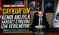 DEVA Partisi İl Başkanı Korkmaz:""ÇAYKUR Kendi Aklıyla Hareket Edemiyor"