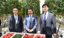Ahi Evran Üniversitesi sera ısıtma sistemi ile Dünyaya örnek oldu