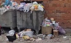 2 haftadır alınmayan çöpler tepki çekti