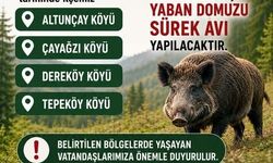 Akçakoca'da domuz avı yapılacak