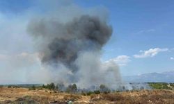 Aksu'da orman yangınına havadan ve karadan müdahale