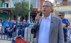 Alaşehir'in en güzel kirazı seçildi