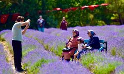 Altıeylül'de mor şölen ilgi gördü
