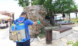 Antalya'da vektörle mücadele 19 ilçede sürdürülüyor