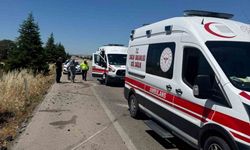 Arının neden olduğu kazada 1 kişi hayatını kaybetti, 4 kişi yaralandı